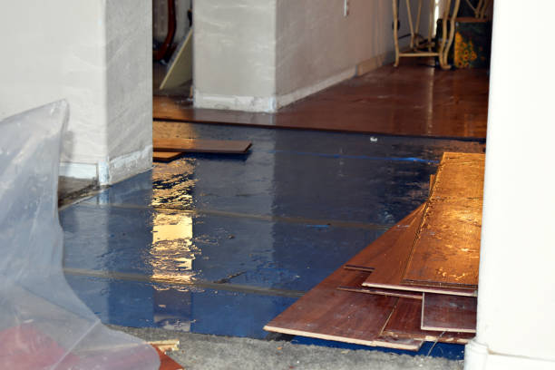 Professional Basement Flood Cleanup technician working in Pinewood, FL